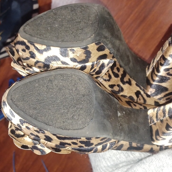 ROCKETDOG HEALS - Picture 6 of 6